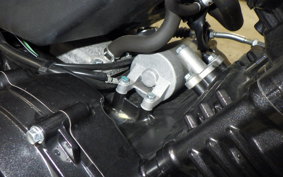 SUZUKI Vｽﾄﾛｰﾑ250A 2018