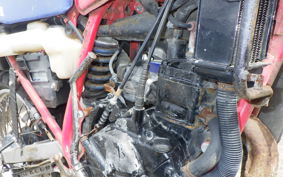 HONDA MTX50R AD06