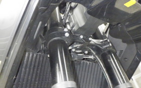 HUSQVARNA NORDEN901 2022