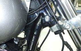 HARLEY FXDL 1340 2017