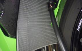 KAWASAKI NINJA ZX-6R A 2025 ZX636J