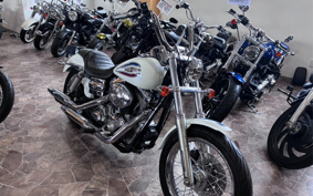 HARLEY FXDI 35th 2005 GW1
