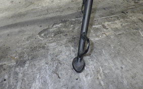 KAWASAKI Z250 2019 ER250C