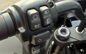 HARLEY FXLRST 2024 YXZ