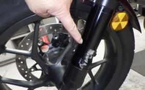 HONDA REBEL 1100 DCT 2021 SC83