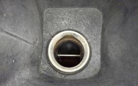 YAMAHA MAXAM 250 SG21J