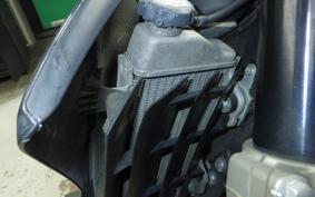 YAMAHA WR250X 2009 DG15J