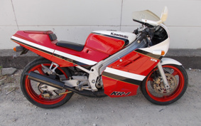 KAWASAKI KR-1 KR250B