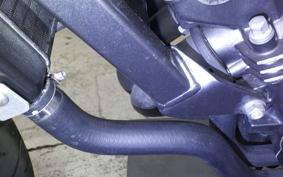 HONDA HORNET 250 2025 MC31