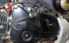 HONDA ｸﾞﾛﾑ 2025 JC61