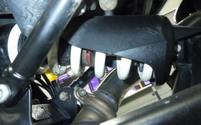 HUSQVARNA NORDEN901 2022