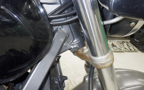 HONDA HORNET 250 2024 MC31