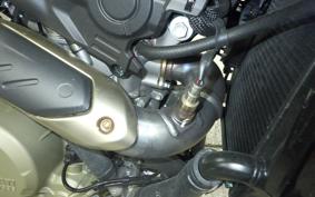 DUCATI HYPERMOTARD698 2024