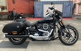 HARLEY FLSB 2019 YMJ
