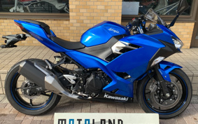 KAWASAKI NINJA 250 EX250P