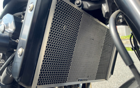 KAWASAKI Z900RS CAFE 2019 ZR900C