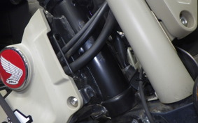 HONDA CT125 HUNTER CUB 2019 JA55