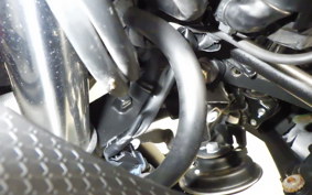 KAWASAKI NINJA 250 EX250P