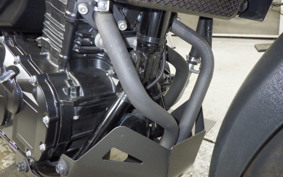 SUZUKI V-STROM 250 A 1979