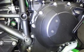 KAWASAKI NINJA H2 SX 2023 ZXT02P