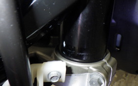 YAMAHA WR250X 2017 DG15J