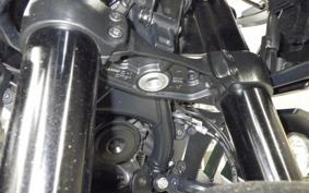 HARLEY PAN AMERICA 1250 S 2021