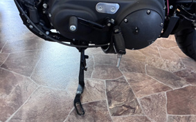 HARLEY XL883N 2016 LE2