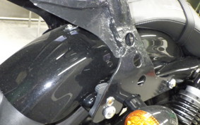 HARLEY XL1200NS 2019