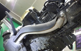 HONDA GROM 2000 JC75