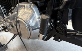 HARLEY FXST1340-1450 2020 BVJ