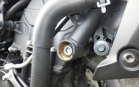 YAMAHA MT-25 A RG74J