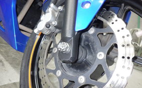 KAWASAKI NINJA 250R 2021 EX250K