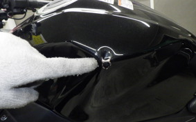 KAWASAKI NINJA 400 2021 EX400G