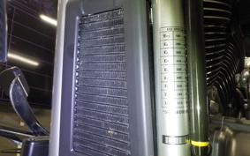 OTHER +HD. FLSTFI1920 2025