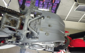 HONDA CRF250F 2024