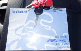 YAMAHA YZF-R25 2017 RG10J