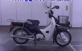 OTHER C110PU LOW 2