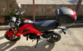 HONDA GROM JC61