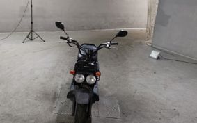 HONDA ZUMAR AF58