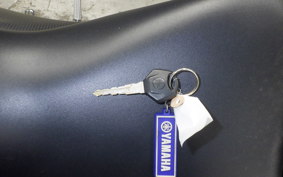 YAMAHA YZF-R25 2019 RG10J