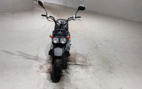 HONDA ZUMAR AF58