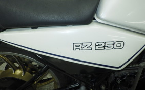 YAMAHA RZ 250 2019 4L3