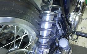 KAWASAKI W800 2021 EJ800B
