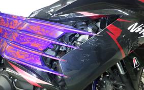 KAWASAKI ZX 1400 NINJA R 2013