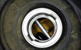 HONDA TODAY 2020 AF61