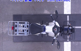 OTHER C110PU LOW 3