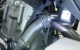 YAMAHA MT-07 2021 RM33J