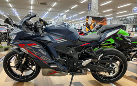 KAWASAKI NINJA ZX-25R SE ZX250E