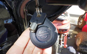 HARLEY FLHXST1920 2022