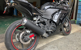 KAWASAKI NINJA 250R EX250K